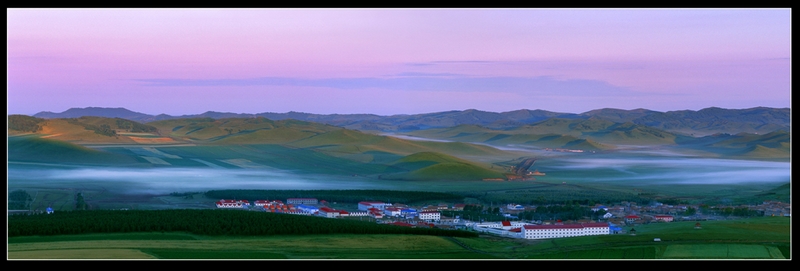 477 - SUMMER MORNING - LIANG XIN XIN - united states.jpg